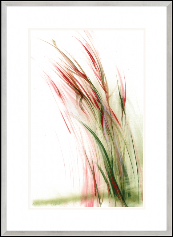 grafika-trawy-natura-czerwien.jpg